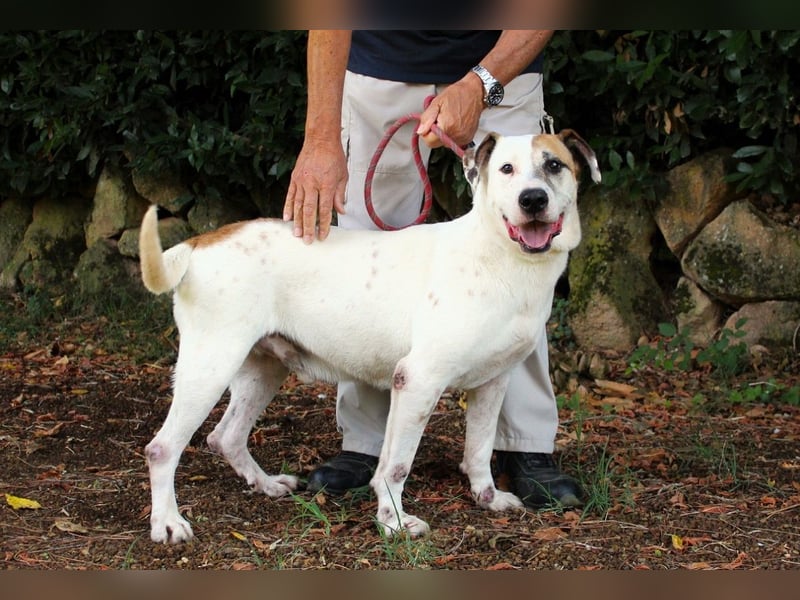 Argo - hungrig auf Leben und Er-Lebnisse