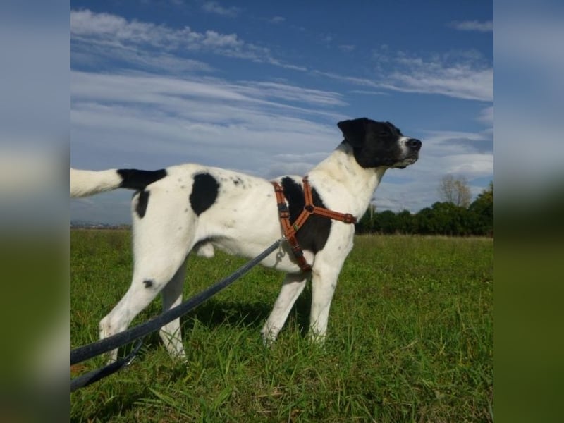 Phönix - Wege aus der Vergangenheit