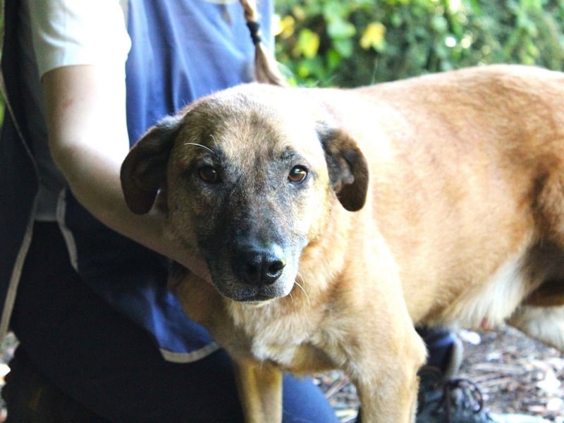 Nidal - Notfall - Was jetzt zählt