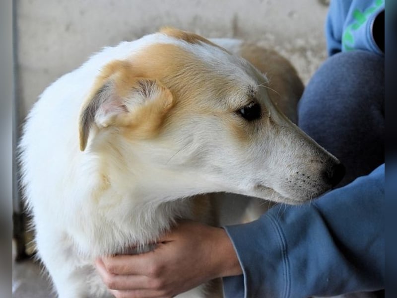Liuba - sucht ihren Platz im Leben