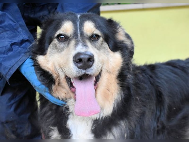 Oliverio - ohne Anklage hinter Gittern