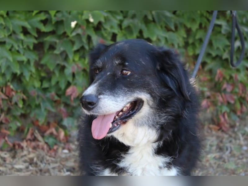 Carmine - Bereit für den Neustart