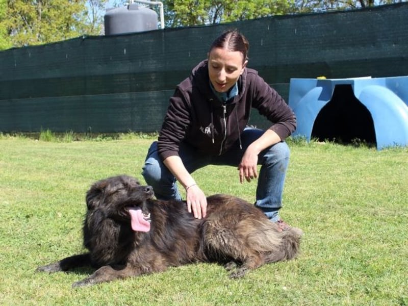 Nayra - unsere Süße