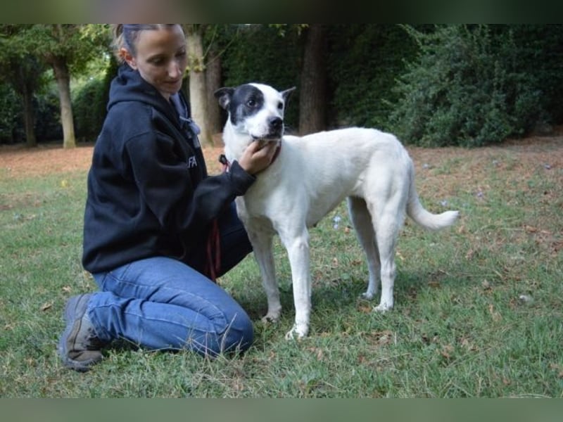 Camellia - sucht ihr Zuhause