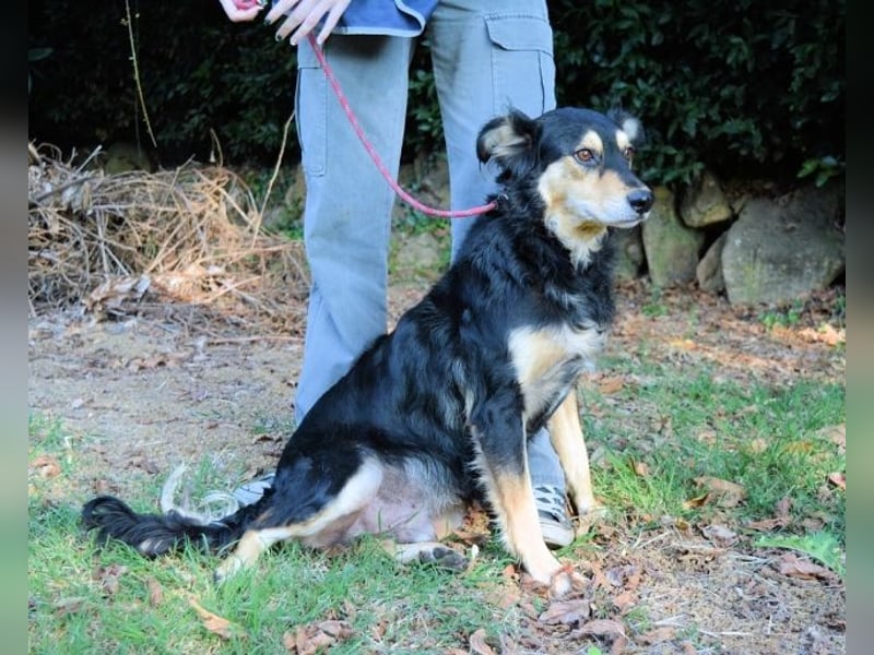 Daxter - wann darf sein Leben beginnen? Daxter - wann darf sein Leben beginnen?