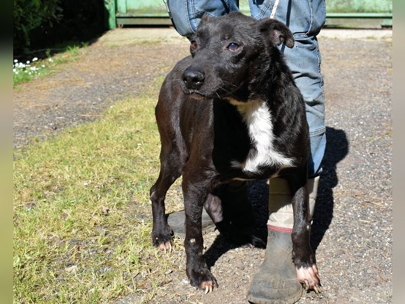 Rhino - NOTFALL !!! - Wenn man nicht auffällt, geht man unter