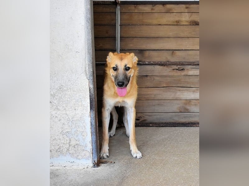 Osita - "Und wenn sie nicht weg sind.....