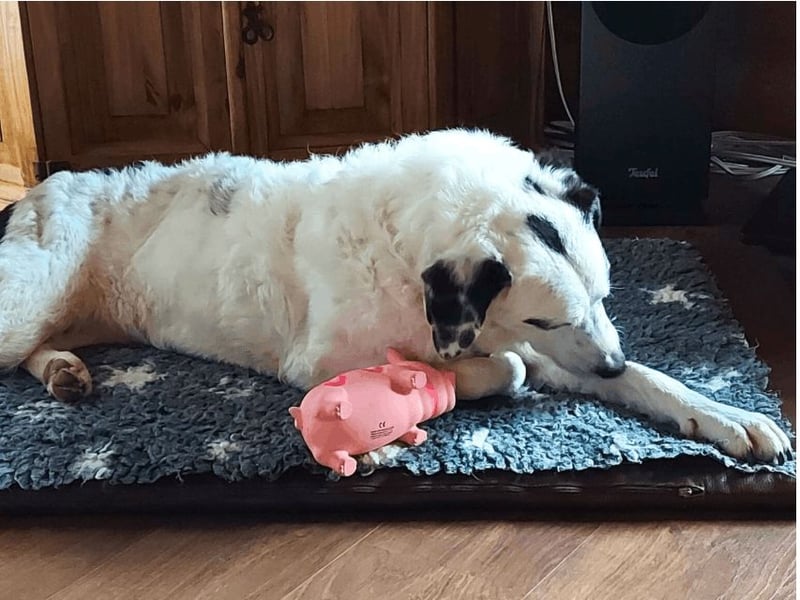 Marni - Dieses Herz hat schon zu lange gewartet