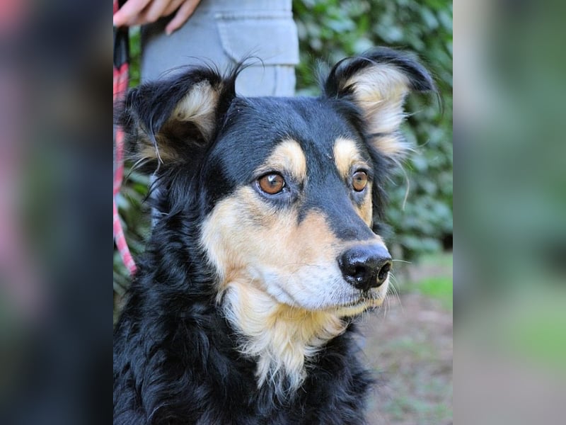 Daxter - wann darf sein Leben beginnen? Daxter - wann darf sein Leben beginnen?