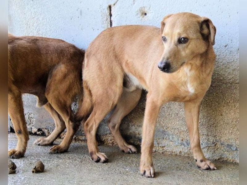 Benno - wenn du mutig bist, dann bin ich es auch!