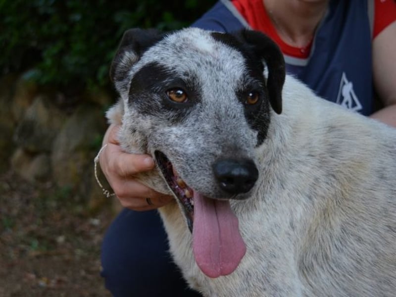 Medwin - Wo ist denn nun das wahre Leben?