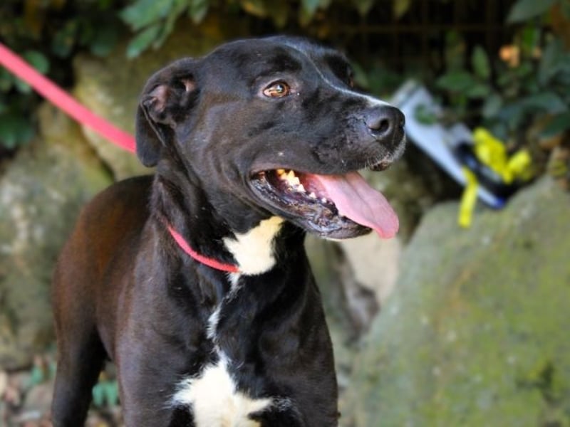 Sienna - Surferin der Herzen