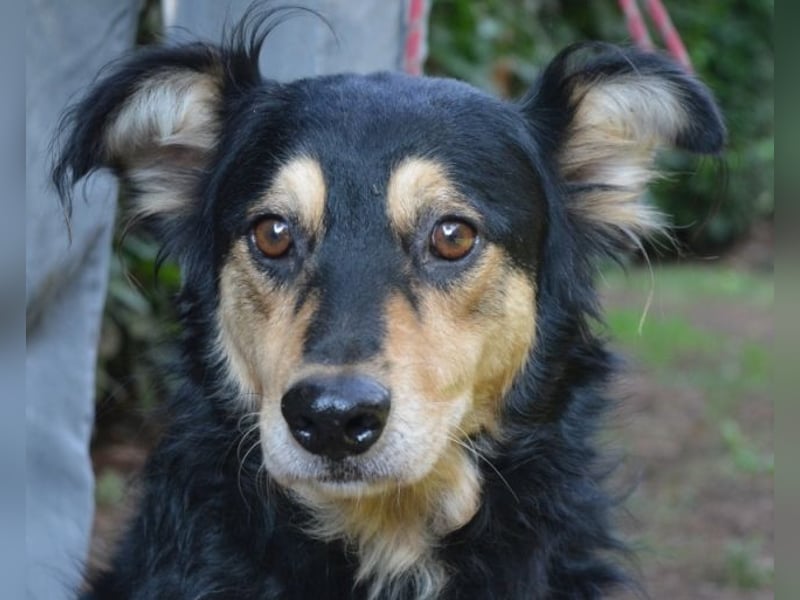 Daxter - wann darf sein Leben beginnen? Daxter - wann darf sein Leben beginnen?