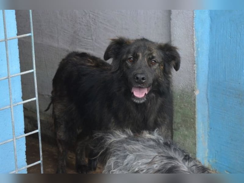 Nayra - unsere Süße