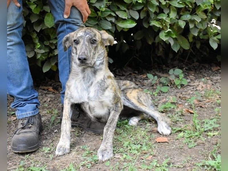 Uladine - hat alles verloren...