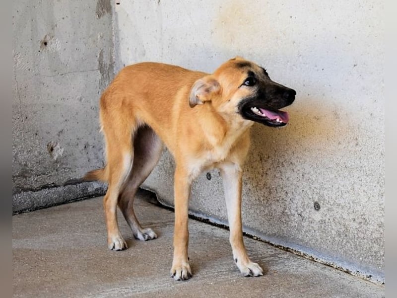 Olympia - "Und wenn sie nicht weg sind....