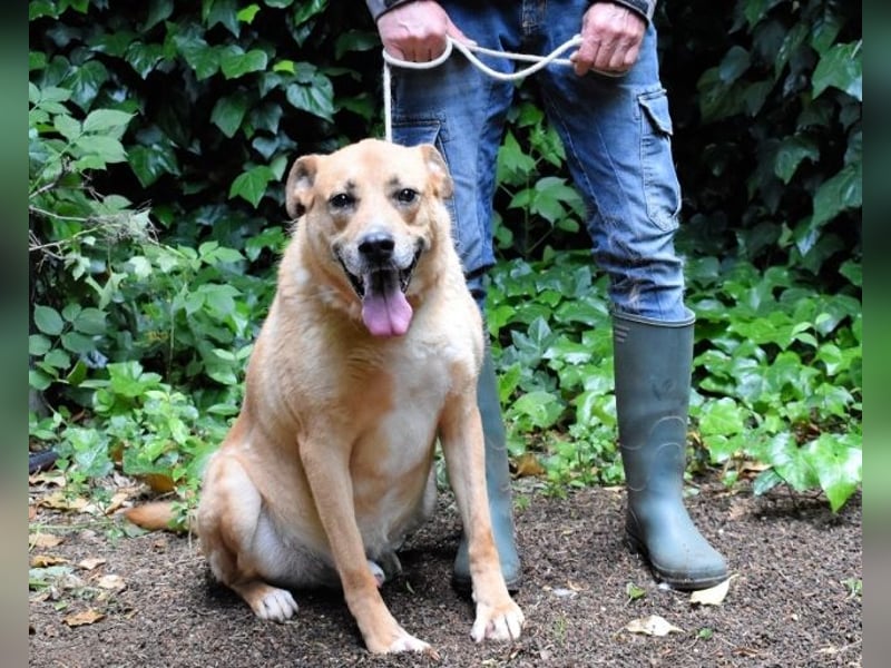 Cesny - Noch ist es nicht zu spät, aber es wird höchste Zeit!