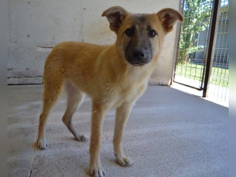 Olympia - "Und wenn sie nicht weg sind....