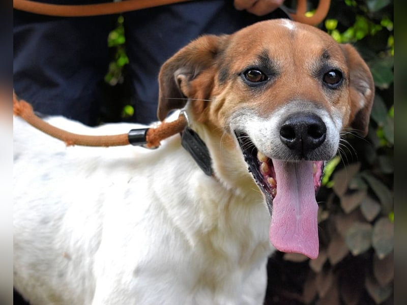 Kamyll - Der Platz neben dir