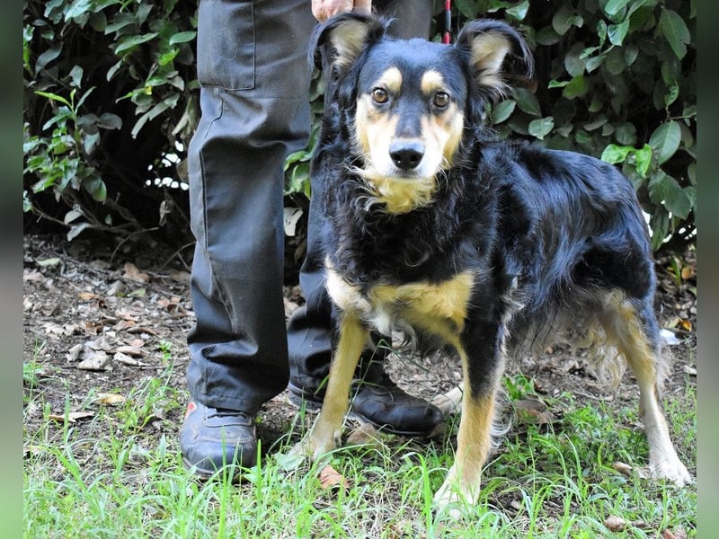 Daxter - Vollbremsung ins Leere