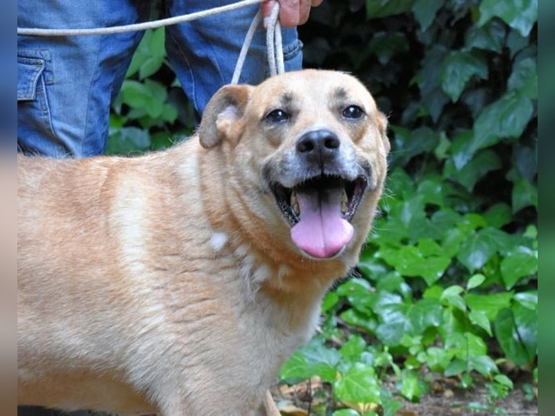 Cesny - Noch ist es nicht zu spät, aber es wird höchste Zeit!