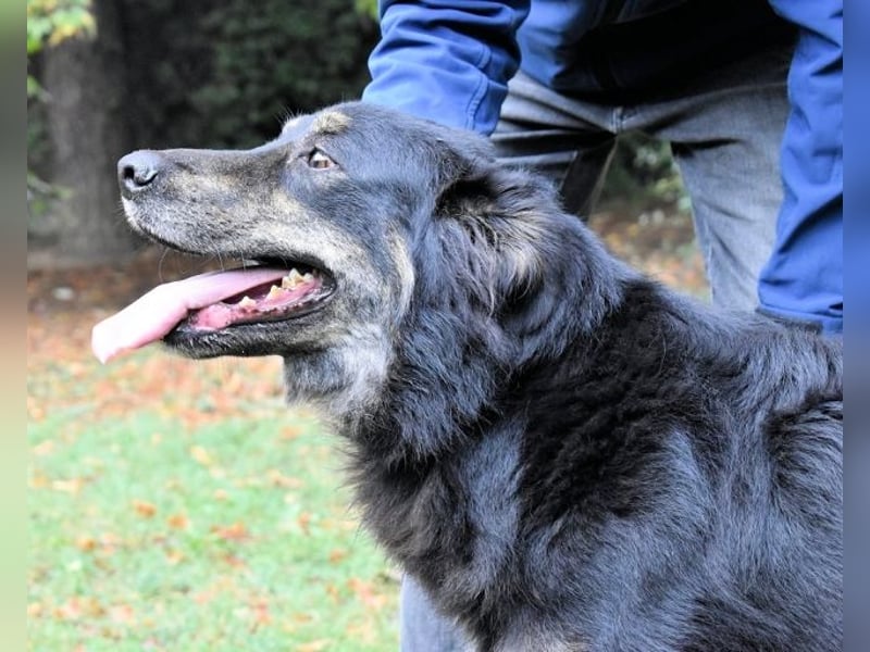Pinot - "Unmöglich!" sagte die Tatsache... Pinot - "Unmöglich!" sagte die Tatsache...