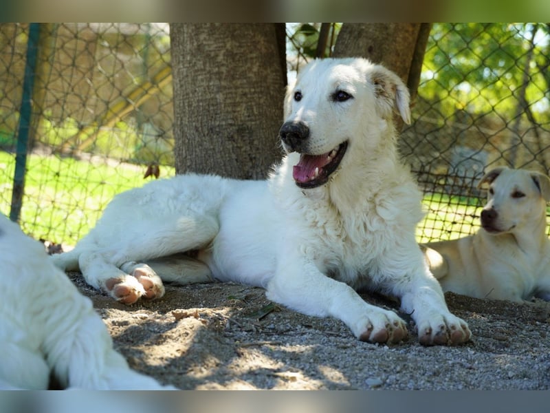 Tonia - Still, stark und voller Herz