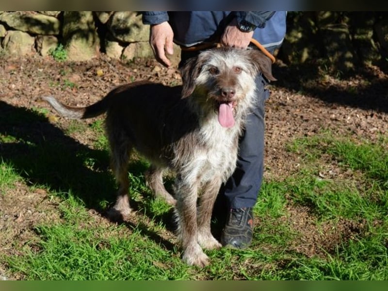 Minnie - Nach 7 Jahren Unglück endlich 7 Jahre Glück?