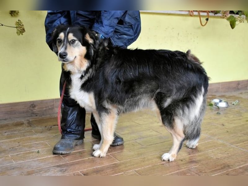 Oliverio - ohne Anklage hinter Gittern