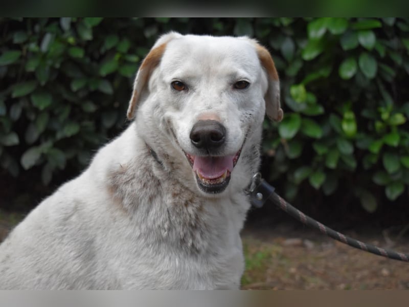 Ghemon - Notfall - Wie wenig kann ein Leben zählen?