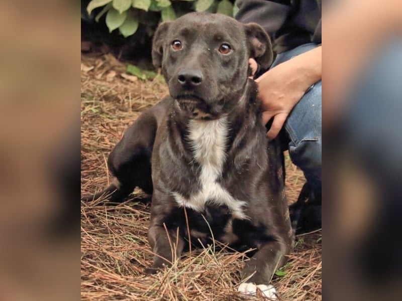 Rhino - NOTFALL !!! - Wenn man nicht auffällt, geht man unter