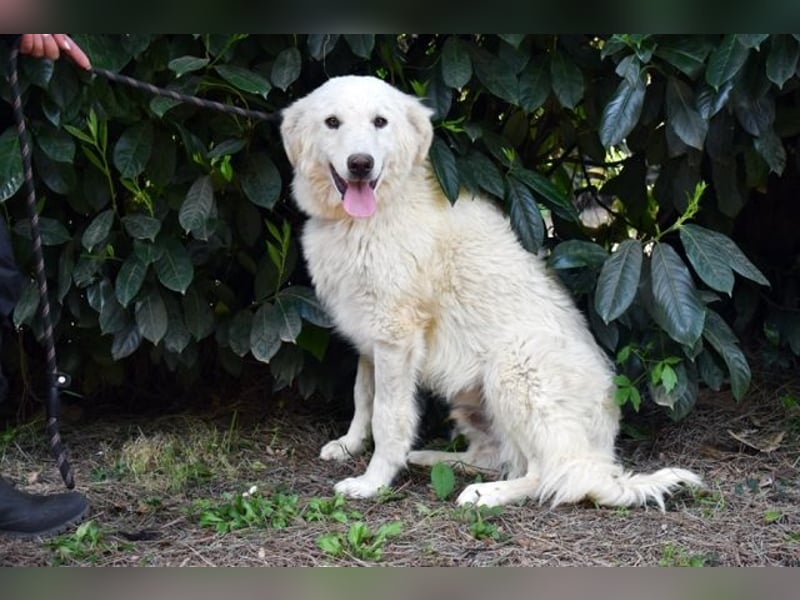 Florenz - bereit für das Abenteuer Leben