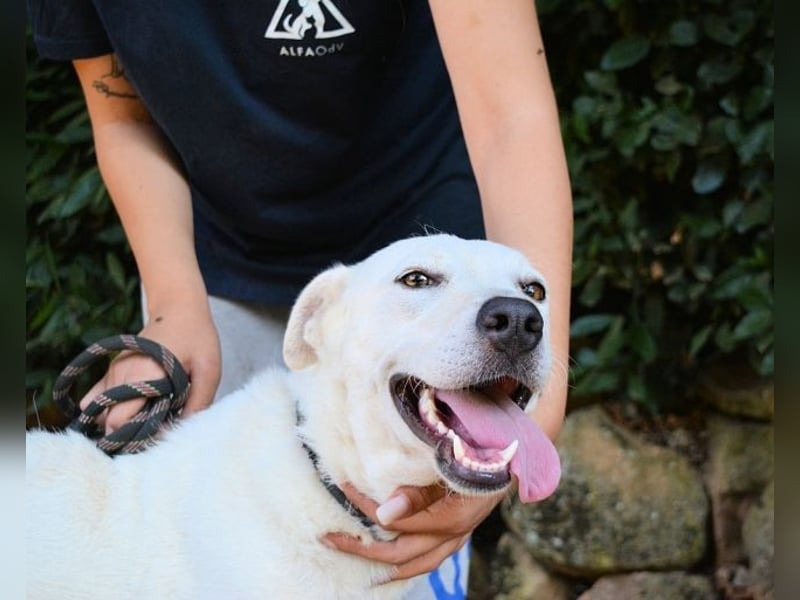 Dafnielle - Zukunft gesucht