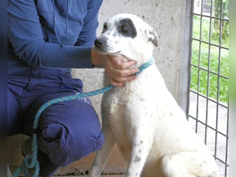 Arunny - aller guten Dinge sind drei