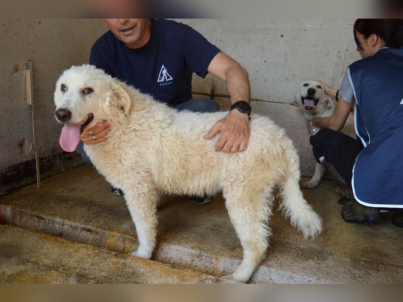 Abreena - Selbstbewusst, verspielt und voller Zuneigung