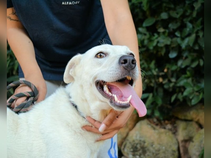 Dafnielle - Zukunft gesucht