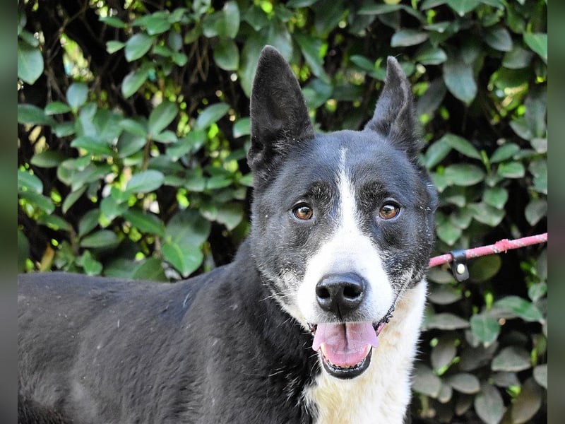 Edelmira - Das Leben in homöopathischen Dosen kennenlernen