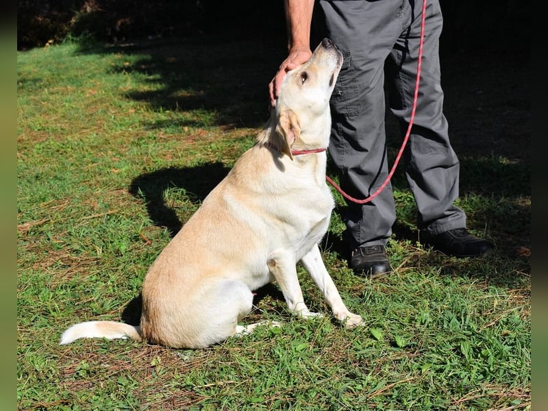 Hughie - macht ein Freundschaftsangebot