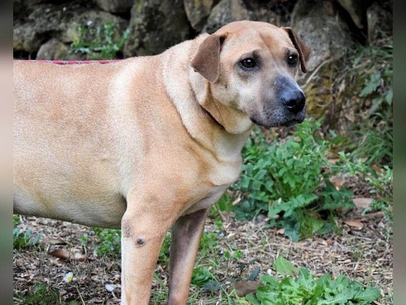 Meleagro - Die perfekte Morgenroutine Meleagro - Die perfekte Morgenroutine