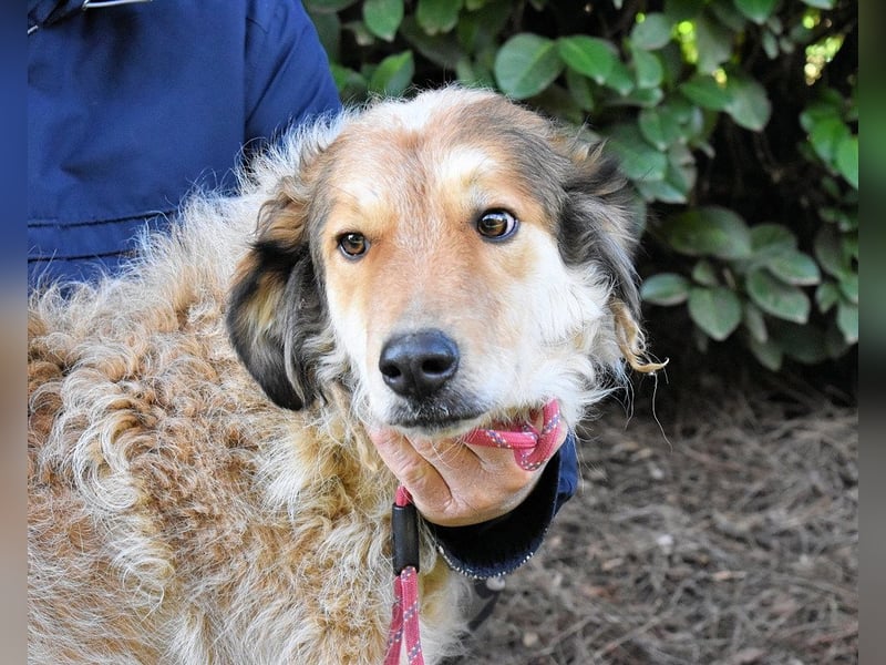 Ligorio - Zwölf, elf, zehn ... eins - Ligorio