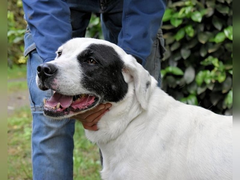 Olindina - Wie gut du bist, das zeigt sich an schlechten Tagen