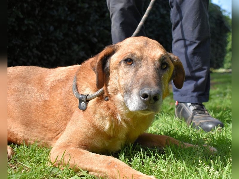 Nidal - Notfall - Was jetzt zählt