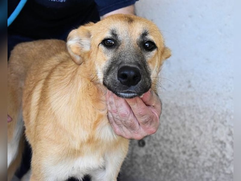 Osita - "Und wenn sie nicht weg sind.....