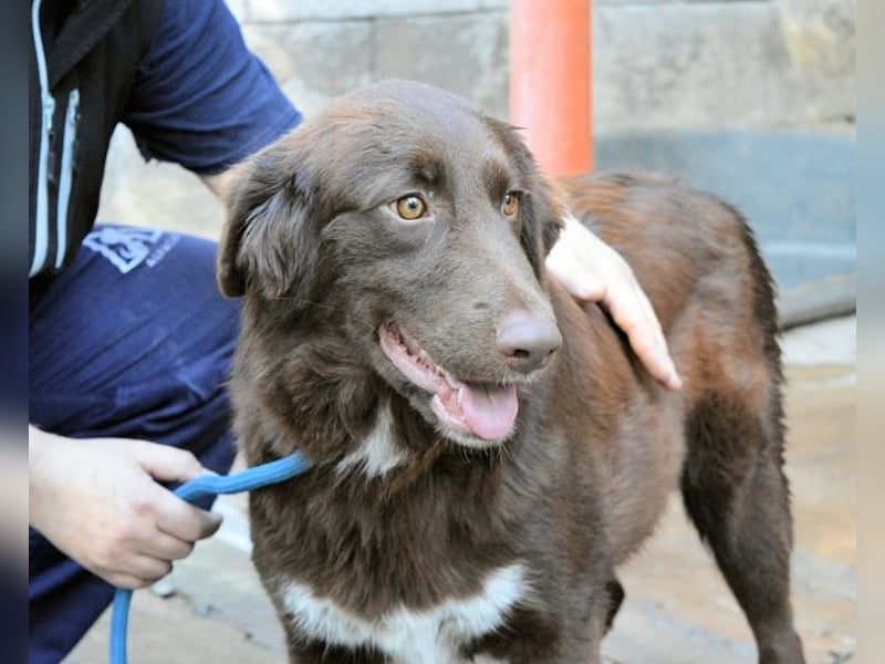 Beckey - Berufswunsch Prinzessin