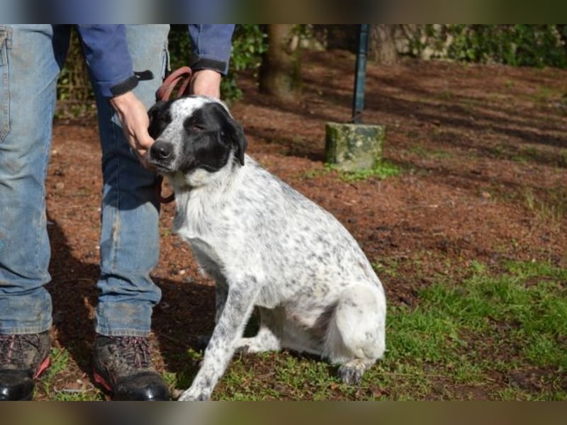 Flicka - möchte noch viel erleben