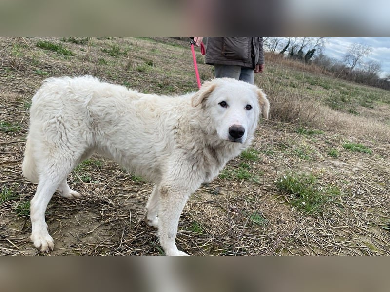 Tonia - Still, stark und voller Herz