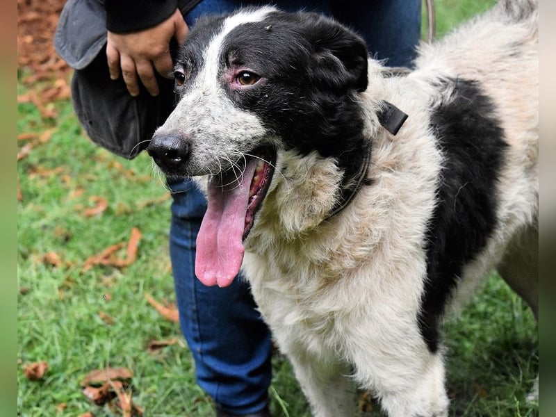 Jessie - Viel zu lange auf der Zuschauerbank