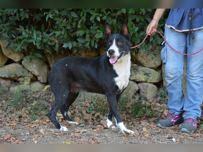 Edelmira - Das Leben in homöopathischen Dosen kennenlernen