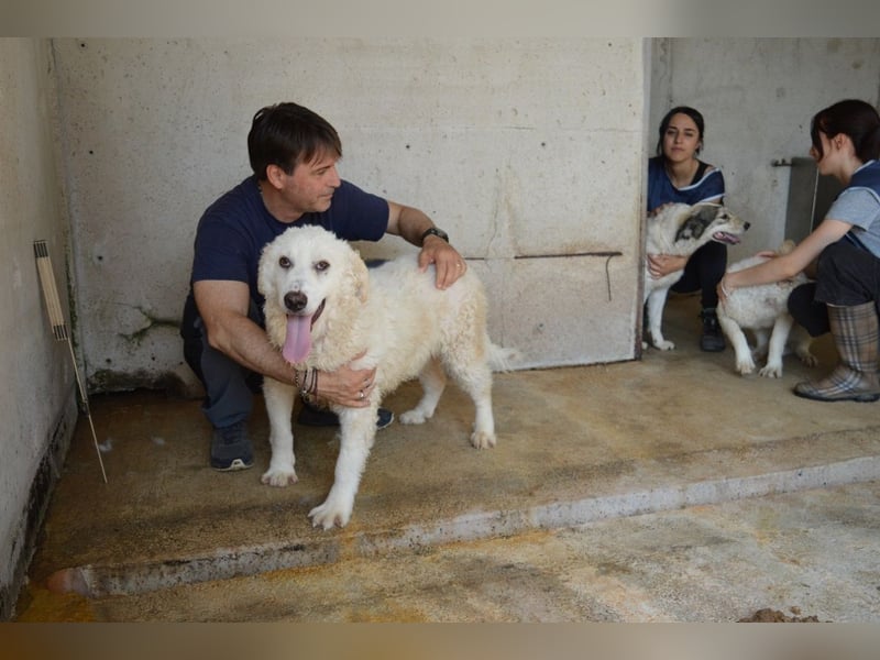 Abreena - Selbstbewusst, verspielt und voller Zuneigung