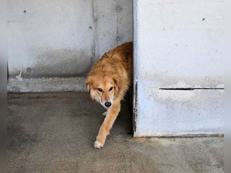 Jonathen - Die Flucht in mir